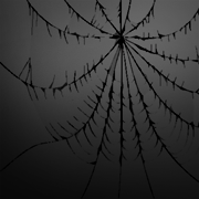Webs of Unlight